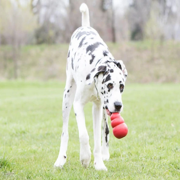 Kong Classic Köpekler İçin Isırma Oyuncağı XXL - 3
