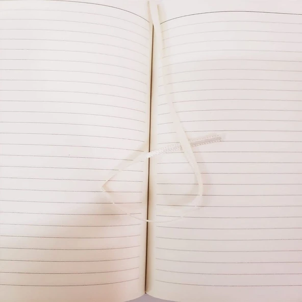 Hediyelik Metal Kalem ve Çizgili Deri Defter - 2