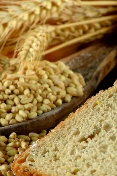 GRD ORGANİK TAM BUĞDAY UNU 1000 gr - 7