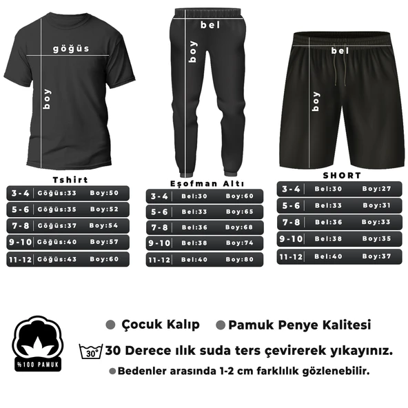 Çocuk Atatürk Tasarım Basklı Tshirt Eşofman Takımı - Resim 6