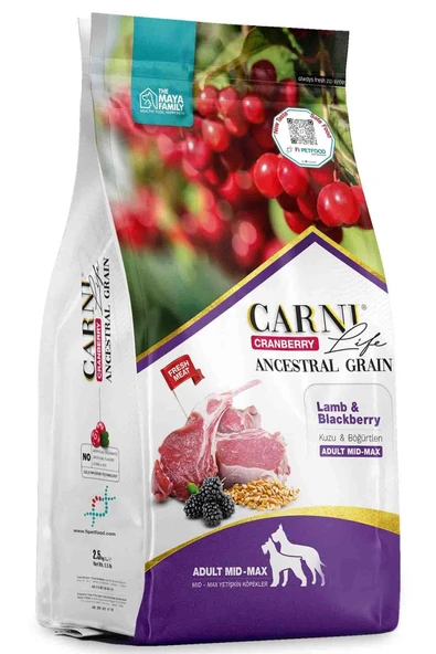 Carni Life Cranberry Ancestral Grain Yetişkin Köpek Medium Maxi Kuzu & Böğürtlen 12+3 Kg