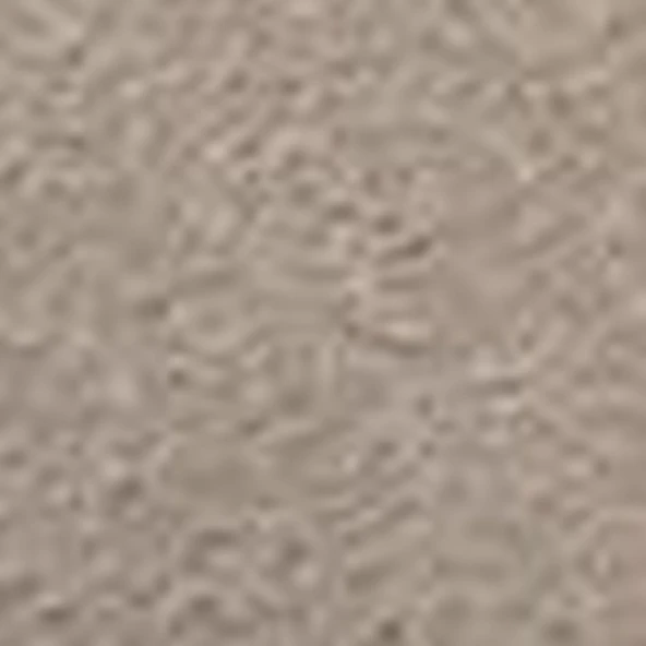 Timberland Seneca Bay LOW LACE UP SNEAKER Erkek Ayakkabı TB0A66P9EO21 - 10