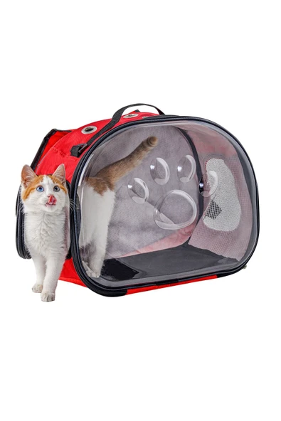 northern fashion Elips Kedi Taşıma Çantası Mavi - 4