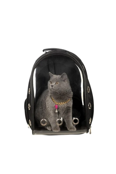 Ksburda Şeffaf Hava Kanallı Kırılmaz Cam Kedi Köpek Taşıma Seyahat Çanta 42*22*33 Cm Siyah - 5