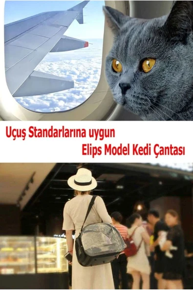 Ksburda Pati Desen Kedi Köpek Sırt Kol Ve Omuzda Taşınabilir Evcil Hayvan Taşıma Çanta Kırmızı - 3