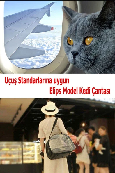 Ksburda Pati Desen Kedi Köpek Sırt Kol Ve Omuzda Taşınabilir Evcil Hayvan Taşıma Çanta Siyah - 6