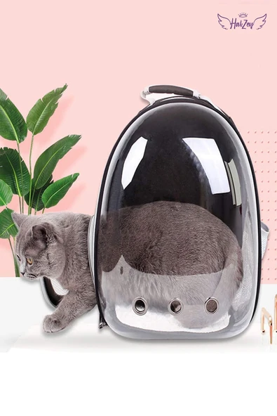 Ksburda Elips Kedi Taşıma Çantası Mavi El Ve Sırt Çantası 6 Hava Kanalı 2 Fileli Cep Kedi Taşıma Çantası