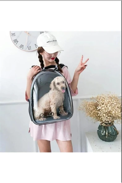 momspet Fileli Açılabilir Şeffaf Astronot Kedi Köpek Evcil Hayvan Taşıma Çantası - 3