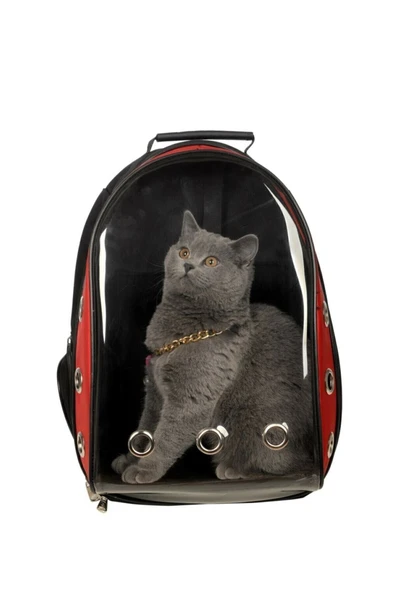 Alfagrup Al&fa Grup Şeffaf Hava Kanallı Kırılmaz Cam Kedi Köpek Taşıma Seyahat Çanta 42*22*33 Cm Kırmızı - 2