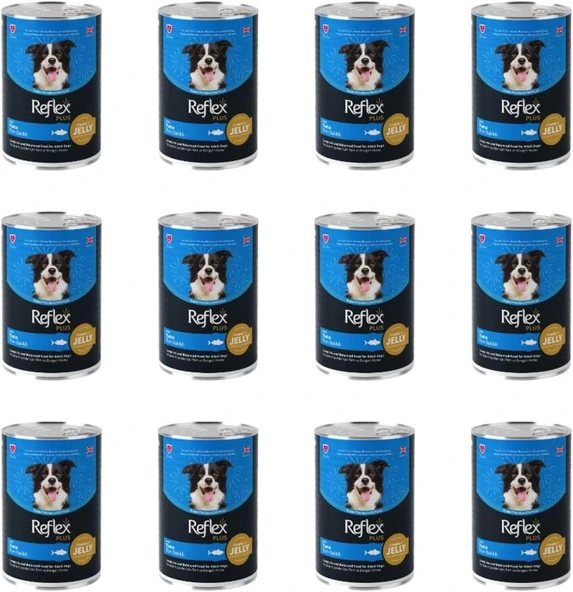 Reflex Plus JELLY Jöle Sos İçinde Et Parçacıklı Tuna Ton Balıklı Yetişkin Köpek Konservesi 400 Gr (12 Adet)