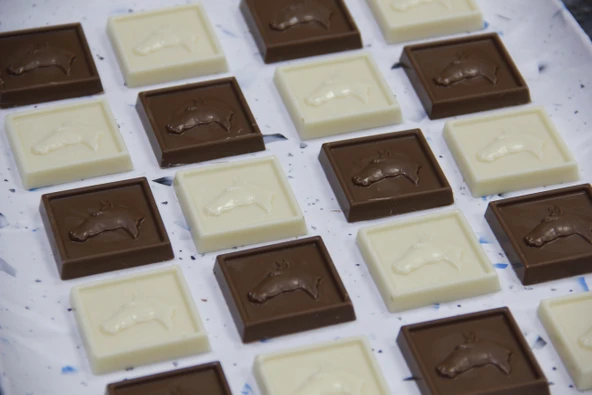 Atlı Madlen Spesiyal Hediyelik Çikolata