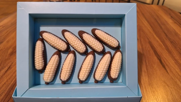 Mısır Spesiyal Hediyelik Çikolata