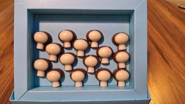 Mantar Spesiyal Hediyelik Çikolata - 2