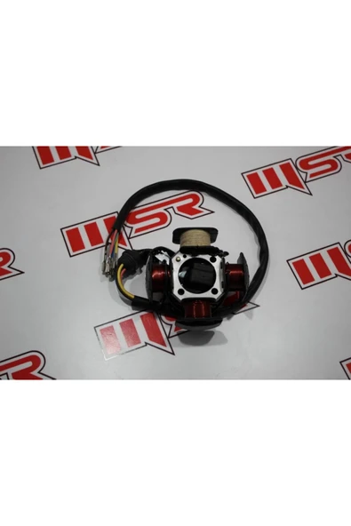 CG 100 DİK MOTOR 4V 4&39LÜ STATÖR 5 KABLO BEZ BOBİNLİ AC