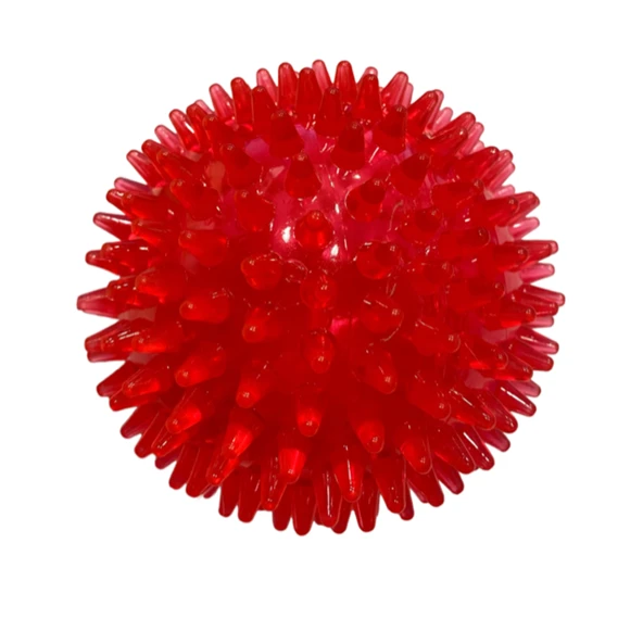 Nunbell Suda Batmaz Termoplastik Kirpi Top Köpek Oyuncağı 13 cm (1 Adet) - 2