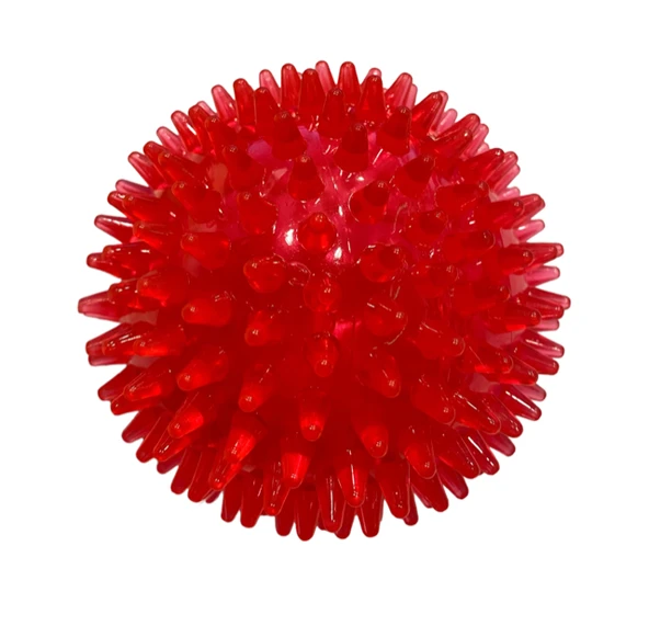Nunbell Suda Batmaz Termoplastik Kirpi Top Köpek Oyuncağı 10 cm (1 Adet) - 2