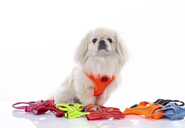 Tailpetz Air Mesh Harness Göğüs Tasması Neon Orange 3XSmall - Resim 7