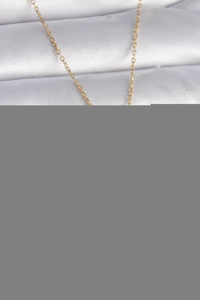 316L Çelik Gold Renk Zincir Oğlak Burcu Zirkon Taşlı Kadın Kolye