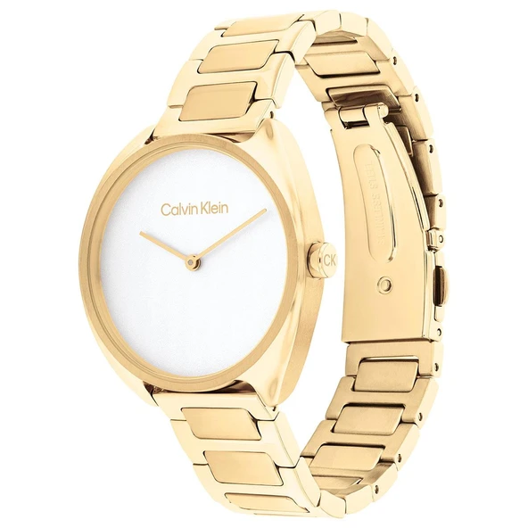 Calvin Klein CK25200276 Kadın Kol Saati - Resim 5