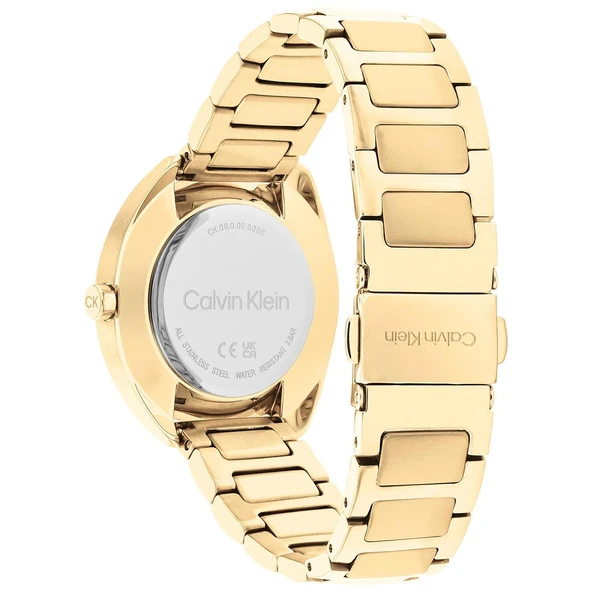 Calvin Klein CK25200276 Kadın Kol Saati - Resim 10
