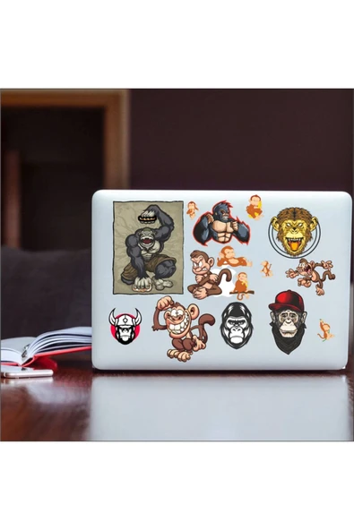 Kartal Sticker Set-1 11 Parça Telefon, Tablet, Defter, Laptop Sticker - Resim 2