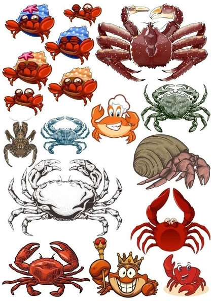 Yengeç Sticker Set 15 Parça Telefon, Tablet, Defter, Laptop Sticker ürün görseli 1