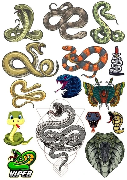 Yılan Sticker Set-3 13 Parça Telefon, Tablet, Defter, Laptop Sticker