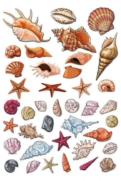 Deniz canlıları Sticker Set-1 18 Parça Telefon, Tablet, Defter, Laptop Sticker ürün görseli 1
