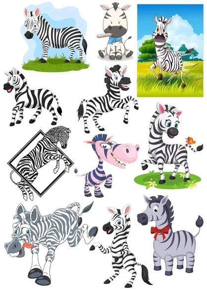 Zebra Sticker Set-2 12 Parça Telefon, Tablet, Defter, Laptop Sticker