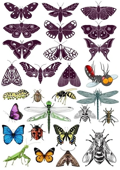 Kelebek Sticker Set-1 18 Parça Telefon, Tablet, Defter, Laptop Sticker ürün görseli 1