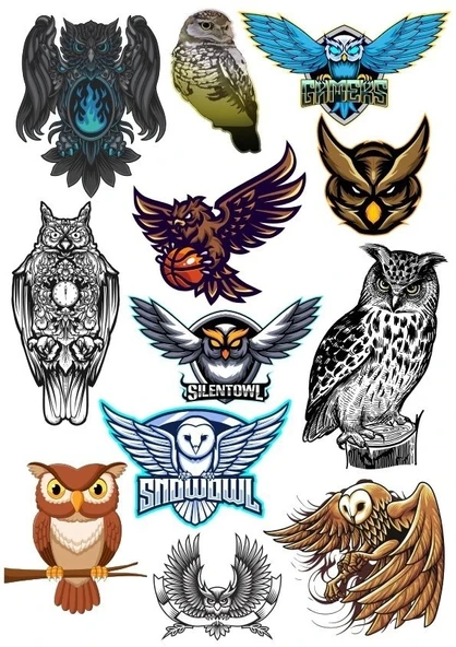 Baykuş Owl Sticker Set-2 13 Parça Telefon, Tablet, Defter, Laptop Sticker ürün görseli 1