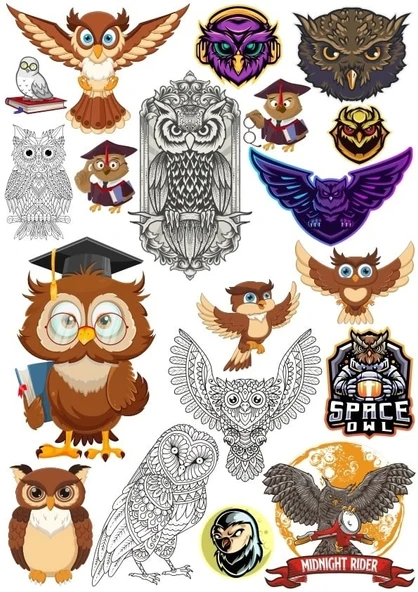 Baykuş Sticker Set 6 16 Parça Telefon, Tablet, Defter, Laptop Sticker ürün görseli 1