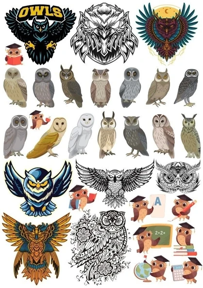 Baykuş Sticker Set 20 Parça Telefon, Tablet, Defter, Laptop Sticker ürün görseli 1