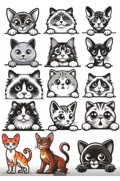 Siyah Beyaz Kediler Sticker Set 2