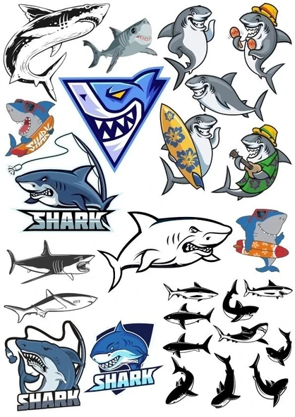 Köpek Balığı Sticker Set 21 Parça Telefon, Tablet, Defter, Laptop Sticker ürün görseli 1
