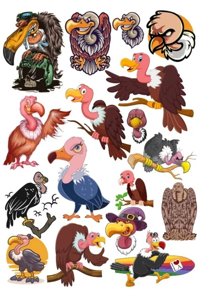 Akbaba Sticker Set 4 15 Parça Telefon, Tablet, Defter, Laptop Sticker ürün görseli 1
