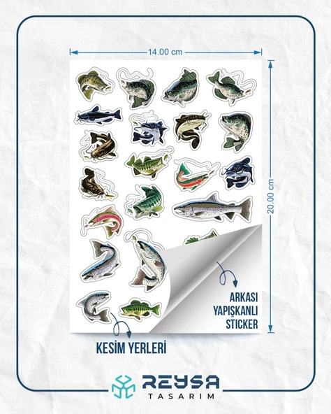 Balık ve Balıkçılık Sticker Set 3 - 2