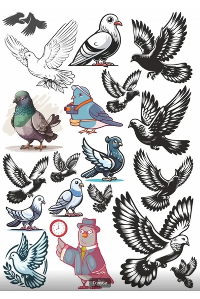Güvercin Sticker Set 2