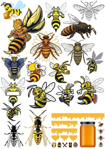 Arı Sticker Set1 15 Parça Telefon, Tablet, Defter, Laptop Sticker ürün görseli 1