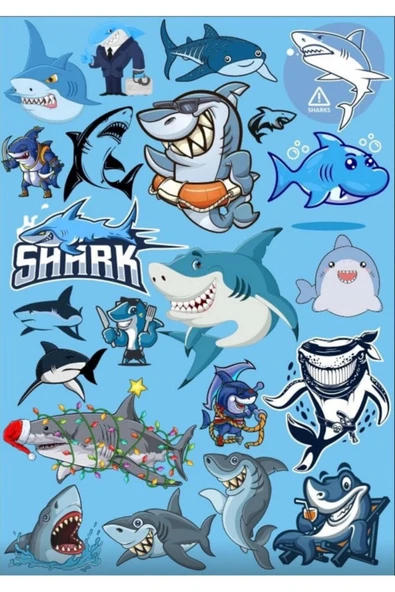Köpek Balığı Sticker Set 3