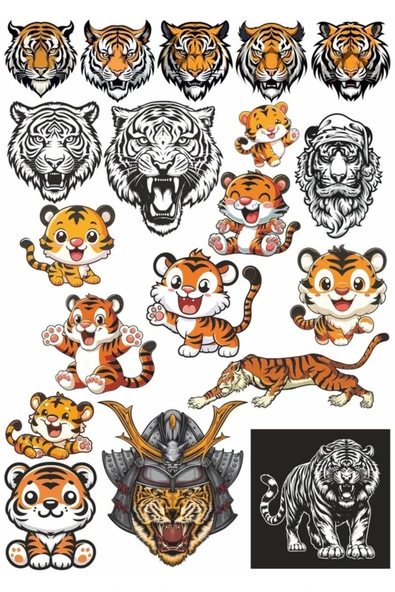 Kaplan Sticker Set 5