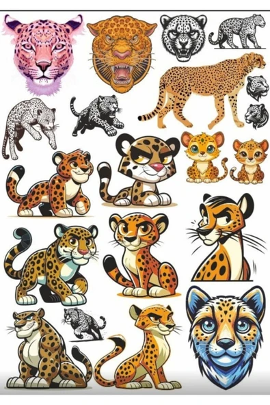 Leopar Sticker Set 3
