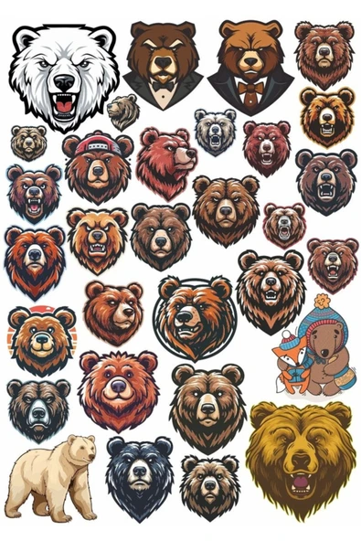 Kızgın Ayı Sticker Set 1 ürün görseli 1