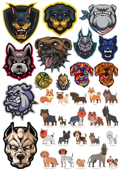 Köpekler Sticker Set 11 20 Parça Telefon, Tablet, Defter, Laptop Sticker ürün görseli 1