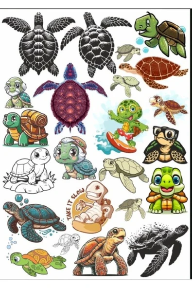 Kaplumbağa Sticker Set 2