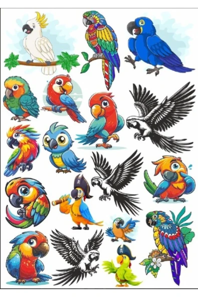 Papağan Sticker Set