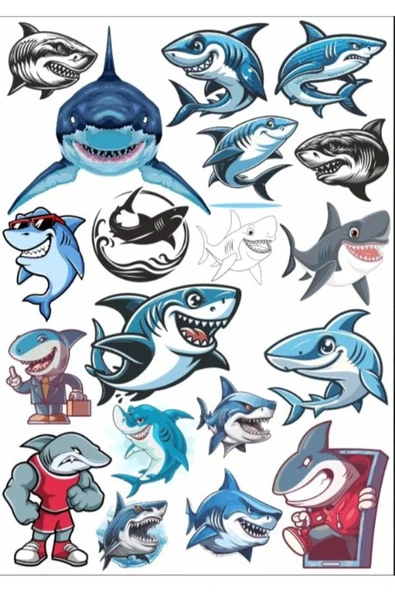 Köpek Balıkları Sticker Set 1