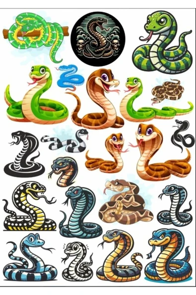 Yılan Snicker Set 2 ürün görseli 1