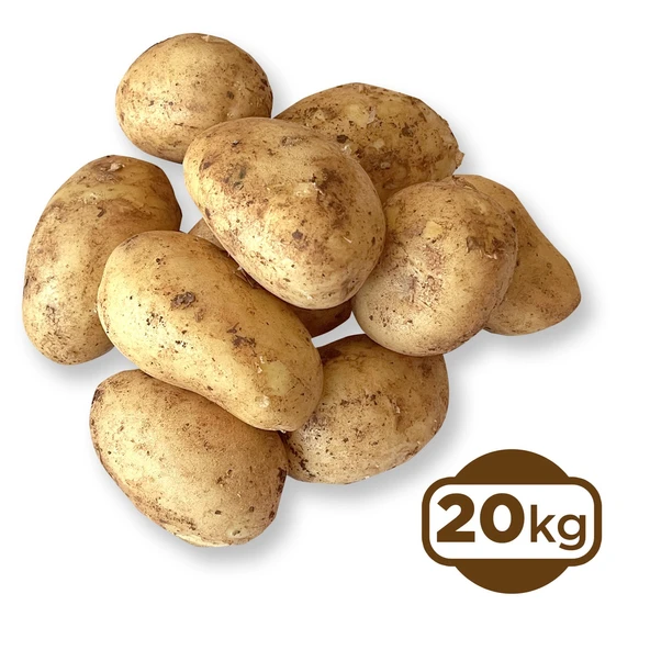 GELTAT Patates Taze 20 Kg