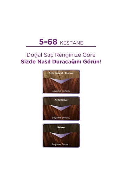 Palette Göz Alıcı Renkler Kestane Saç Boyası 5-68 Saç Boyası - 2